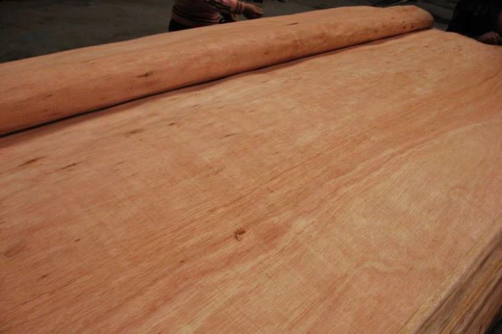 Gurjan (keuring) Veneer for Indian Market