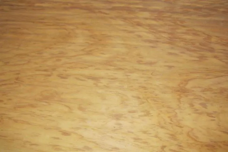 Rotary Cut Natural Bintangor Face Veneer