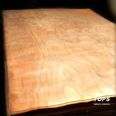 Reliable 0.30mm Rotary Cut Natural Okume Bintangor Okoume Wood Face Veneer